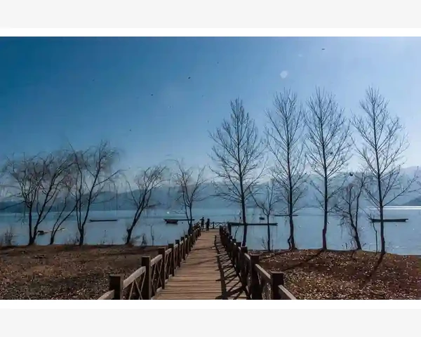 中年人补气血的有效方法与建议